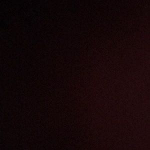 Meet your Posher, Rose